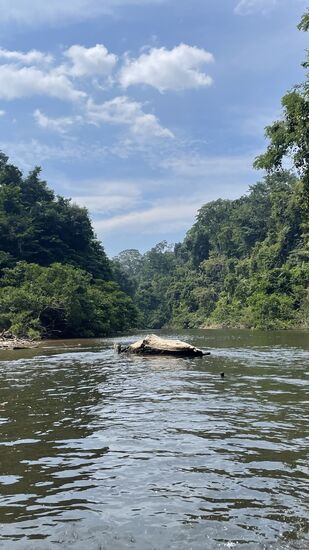 Dann gehts im Eiltempo wieder zurück—