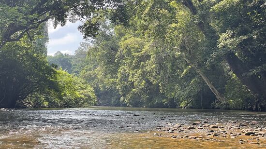 Teilweise ist das Wasser sehr flach….