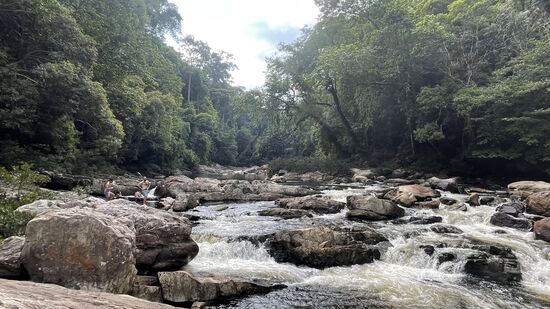Hier nehmen einige ein Bad…