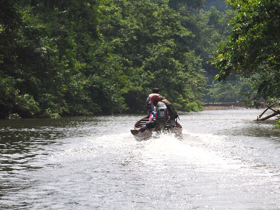 Wir sind natürlich nicht allein…