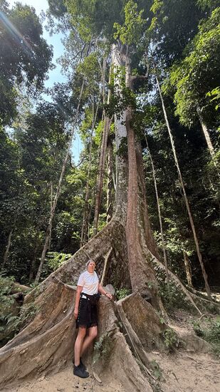 Größenvergleich…