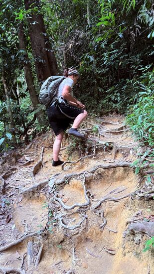 …während wir den halbstündigen Aufstieg über Wurzeln und Steinen…