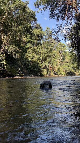Immer wieder Hindernisse, um die der Steuermann uns geschickt herum steuert