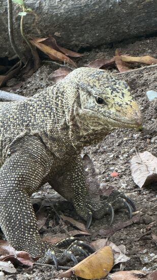 Schaut der nicht lieb?