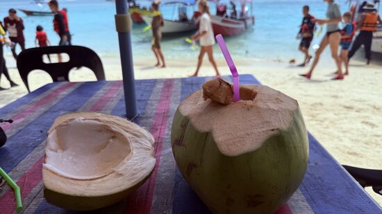 Dieses Kokoswasser der unreifen bzw jungen Kokosnüsse enthält viel Elektrolyte, aber wenig Zucker. Nachdem wir sie geleert haben, wird die Nuss zerteilt und wir können das weiche, glibberige Fleisch mit einem Löffel abschaben und essen