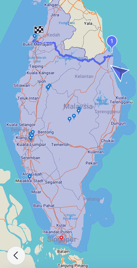Für diese Strecke haben wir tatsächlich einen Flug gebucht. Die Autofahrt würde vom Hafen an über 7 Stunden dauern.
So fliegen wir mit Zwischenstopp in Kuala Lumpur.
Eventuell wäre eine Bus- oder Autofahrt doch geschickter gewesen, aber wir haben im Vorfeld keinen gefunden