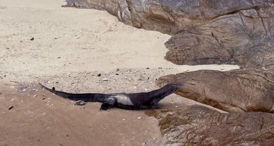 Der hat uns schon bei der Ankunft begrüßt -  und nun verabschiedet er sich von uns 
