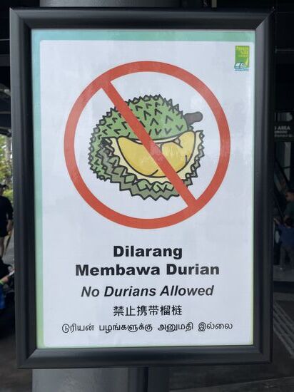 Tja—auch hier wieder… Die Durian ist wohl die unbeliebteste Frucht der Welt….