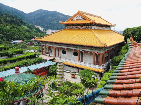 Es geht immer weiter hinauf—die üppige Blütenpracht ist unglaublich!
Die oberen Bereiche sind für kleines Geld per Lift zu erreichen, einer ist allerdings heute außer Betrieb, aber der Zweite, der ganz nach oben fährt, funktionierte