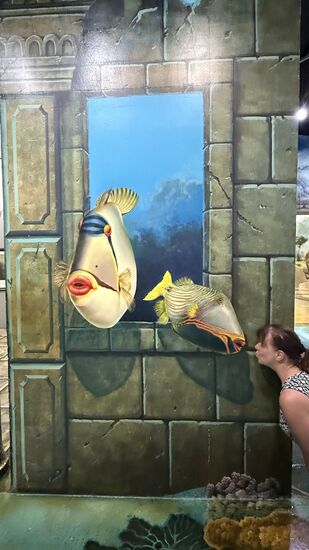 Zuerst fand ich das doof…