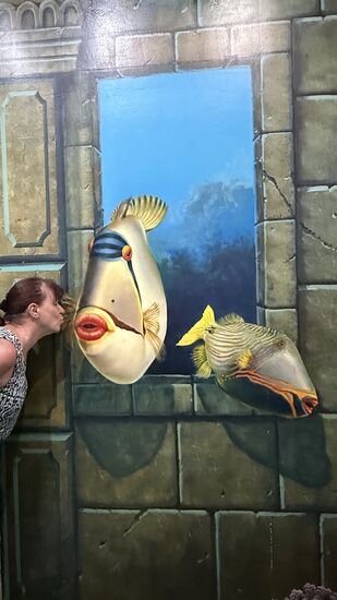 …aber wenn man einen begeisterten Fotografen dabei hat….