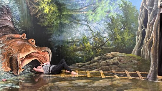 Sieht man die Bilder größer, sind sie erstaunlich real!