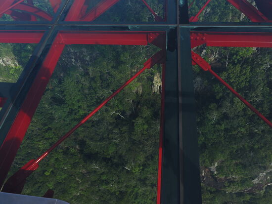 Unter uns der „kuschelige“ Wald 