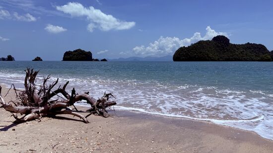 Nach einer halben Stunde gehts weiter zum Floating Restaurant-auch hier ist für die Menschenmassen wieder gut alles organisiert. Es gibt gegrillte Makrele, ein gelbes Getränk, Reis und chicken-Curry. Zum Nachtisch ein Stück Melone.
Nicht üppig, aber alles sehr schmackhaft—keine Wartezeiten, keine Geldkassiererer—essen, nette Kontakte knüpfen und ab gehts zurück zum Jetty und wieder heim zum Hotel