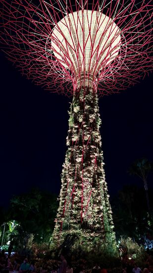 Das ganze dauert ca 20 Minuten-dann gehts weiter