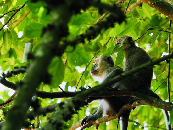Auch bei denen verweilen wir eine ganze Zeit…