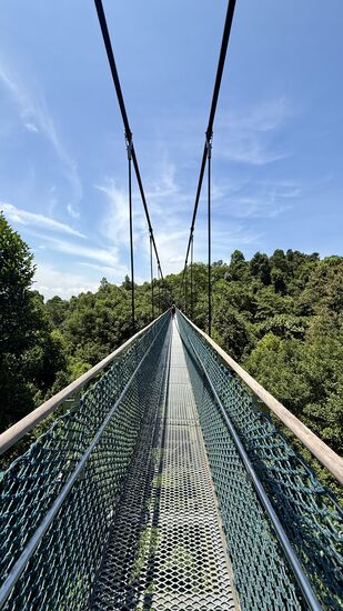 Nach über einer Stunde erreichen wir dann endlich die Hängebrücke