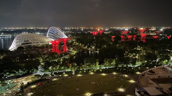 Von hier aus kann man auch super die Lichtershow der „Supertrees“ sehen 