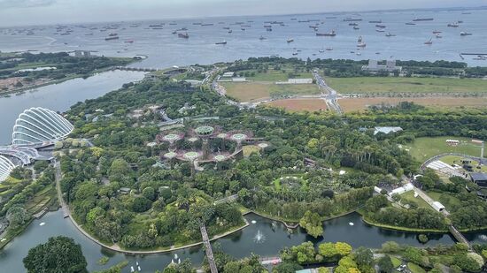 Noch ein letzter Blick auf das satte Grün