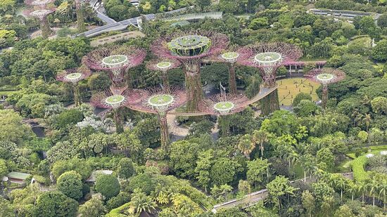 Und die gardens of the Bay…