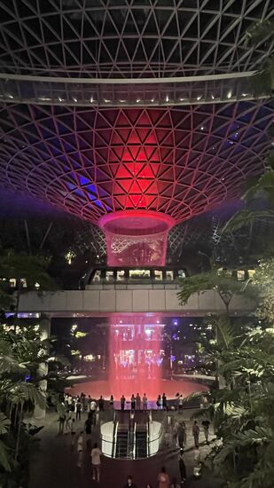 Das Farbspiel wechselt und hier sieht man auch gerade eine Bahn auf der Mitte vorbeifahren-oben befindet sich noch eine Hängebrücke über das „Forest Valley“