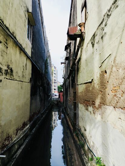 Gerade erzähle ich Thomas, dass in solchen stinkigen Kanälen oft Warane sind—da sehe ich ganz hinten tatsächlich einen!!