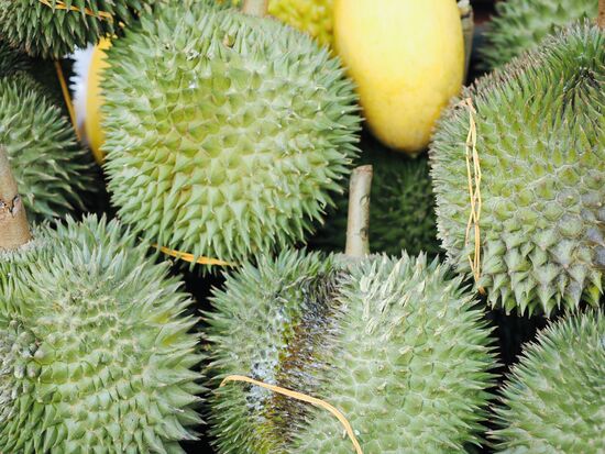 Durian