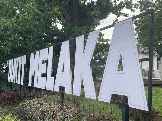 Ich steige die Treppen hinauf um mir das Fort genauer anzusehen.
Außerdem turnen da oben im Baum viele Affen herum, die ich ja zu gern beobachte