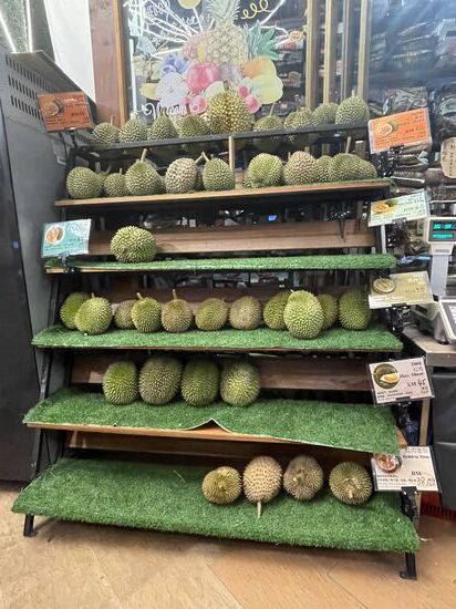 Ich kenne ja die Durian von meinen früheren Reisen, wegen des intensiven Geruchs ist sie sehr unbeliebt. Aber ich wußte bis jetzt nicht, dass es sie wie Trüffel in unterschiedlichen Preiskategorien gibt. Teilweise echt teuer!
Immer wieder kommen Kunden, stehen davor, beäugen die Früchte, nehmen sie in die Hand, drehen sie, diskutieren mit dem Verkäufer und manche kaufen dann