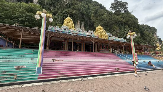 Hier werden wir von unzähligen frechen Affen empfangen—sie betteln um Futter, sind aber nicht aufdringlich