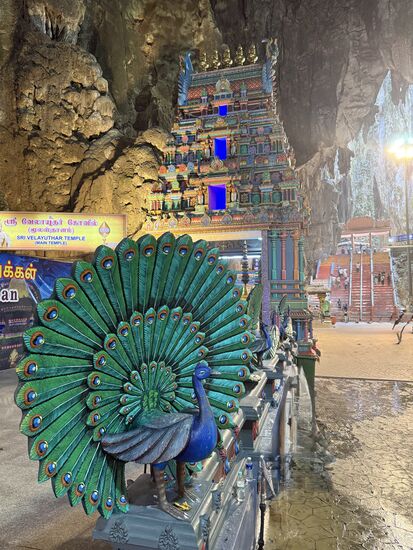 Nun machen wir uns wieder auf den Rückweg