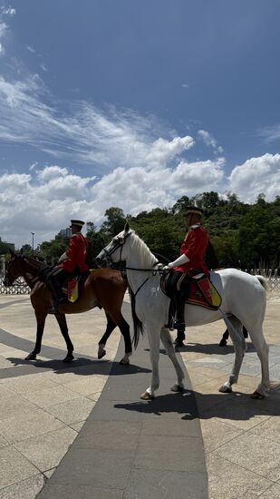 Gerade findet eine Wechsel der Berittenen statt
