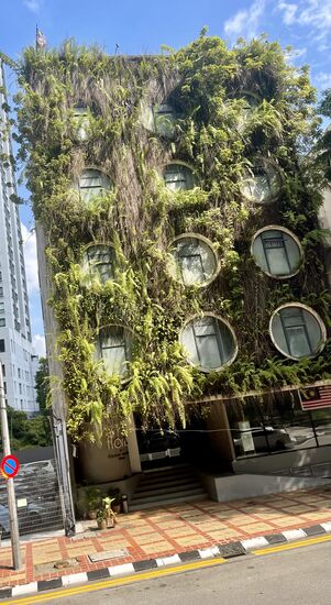 Mal ein grünes Haus-