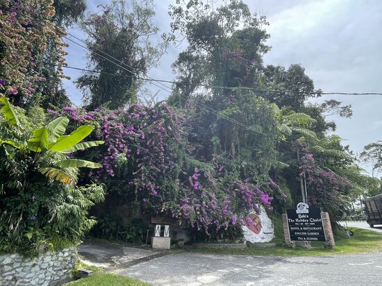 Da sind wir—leider müssen wir uns noch etwas den Berg hinauf quälen