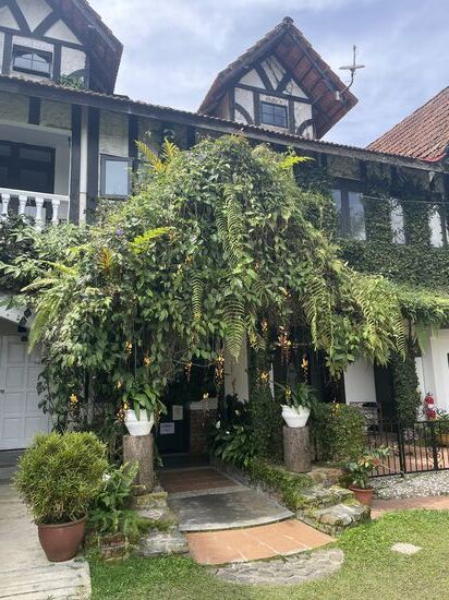 Überall ein üppiges Blumenmeer!