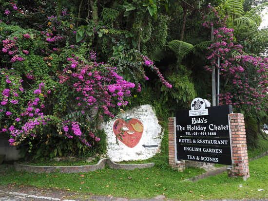 Es verspricht gemütlich zu werden und sieht wieder sehr „englisch“ aus 