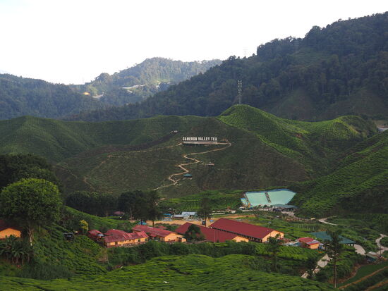 Hier herrscht großes Gewusel, was man aber bei diesem Ausblick schnell vergisst