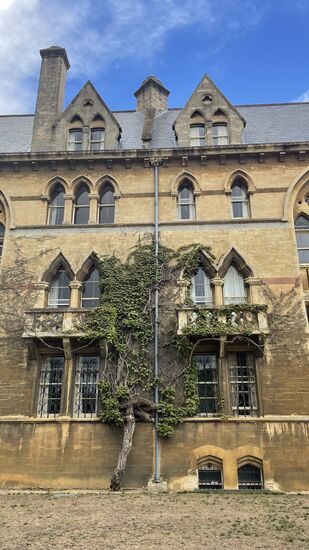 Die Natur nimmt das Bauwerk ein…hier wurden übrigens die Harry Potter Folgen:
Harry Potter und der Stein der Weisen und Harry Potter und der Feuerkelch
gedreht