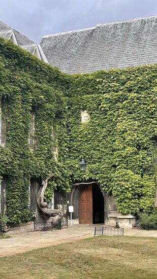 Hübsch mit dem Efeu, der Laterne und der Holztür