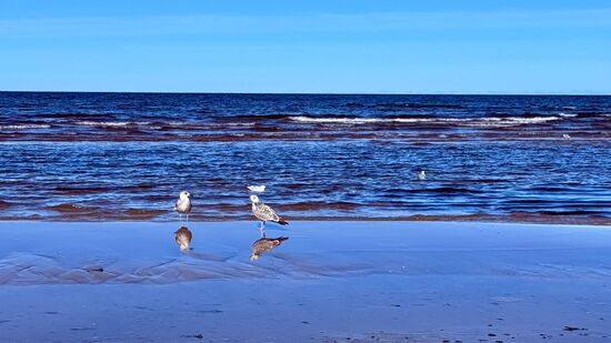 Wir verlassen den Ostseestrand und …