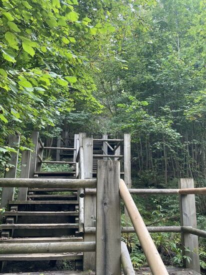 Dann gehen wir die zahlreichen Treppenstufen hinab zum Fuss der Gauja-Brücke