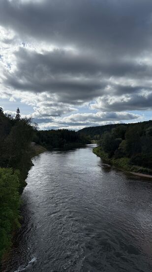 Der Fluss "Gauja" von der Brücke aus