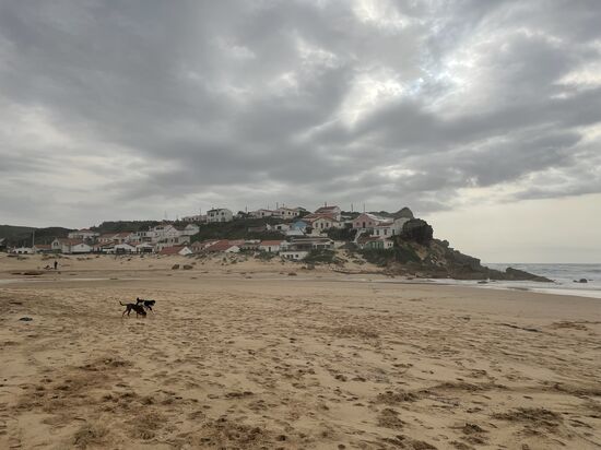 Daisy jagd mit Feuereifer dem Ball nach, den wir immer wieder werfen