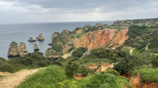 Immer wieder zücken wir die Kamera für ein Foto