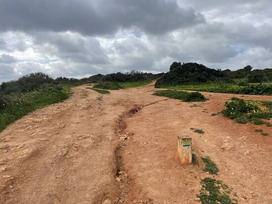 Wir folgen den Grün-blauen Wegmarkierungen und haben zwischendurch auch mal Sandwege
