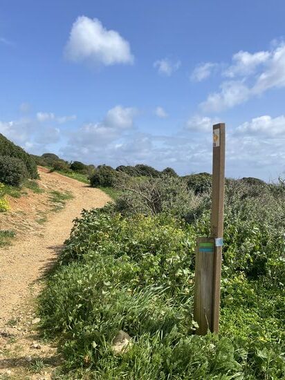 …da ist er!! Schon haben wir das Grün-blaue Zeichen gefunden!