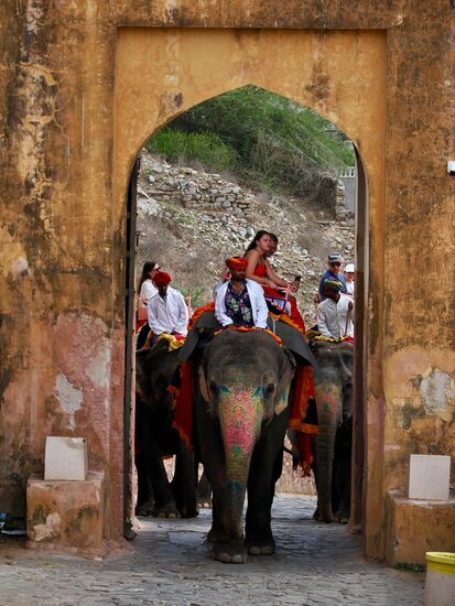 Man kann sich auch auf Elefanten „hinaufschaukeln“ lassen. Aber wie ich lese und höre ist das Tierquälerei—die werden nicht gut behandelt