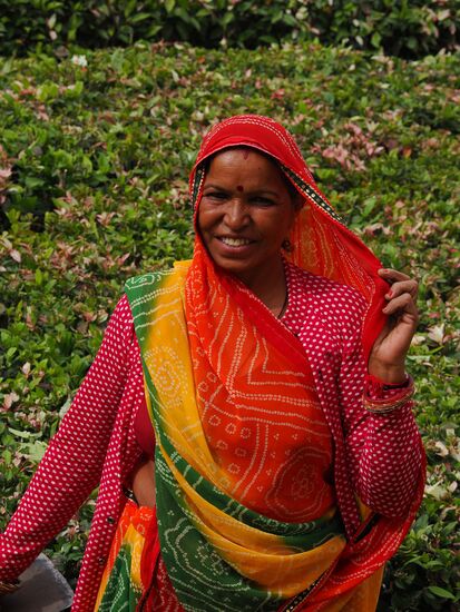 Dann wittern sie das große Geschäft, legen die Arbeit nieder und posieren…
