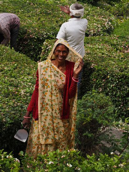 Einige Fotografen machen Fotos und anschließend möchten sie natürlich auch einen Obulus.
