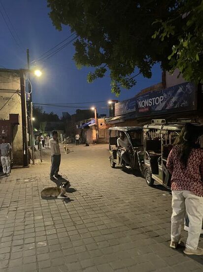 Vor dem Taj Mahal stehen Tuktuks bereit und natürlich jede Menge Lokalitäten und Geschäfte, die anschließend die Besucher „überfallen“